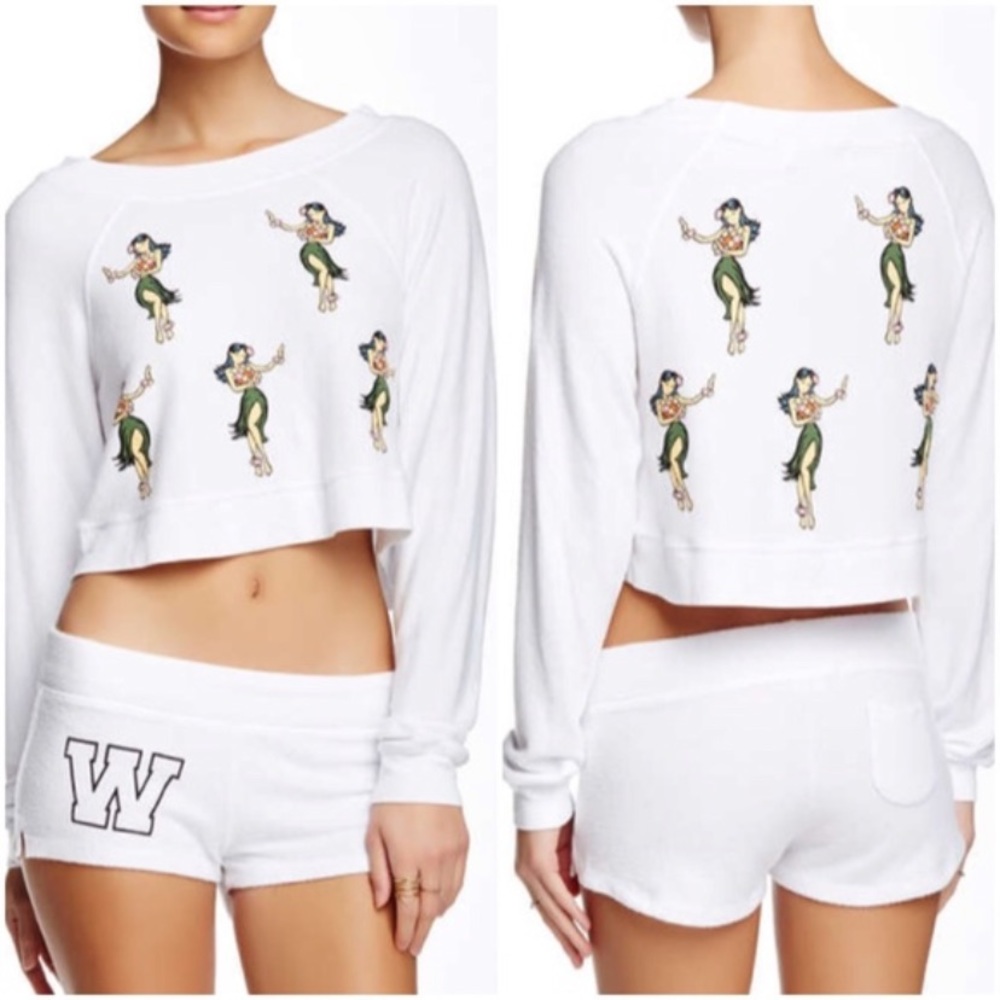 Wildfox Sweater